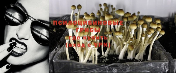 прущая мука Беломорск