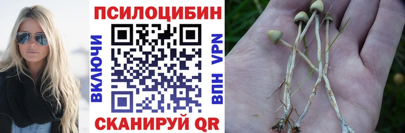 Галлюциногенные грибы Cubensis  Маркс 