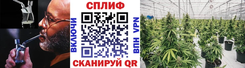 наркота  Маркс  блэк спрут маркетплейс  Конопля планчик 